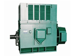 Y5002-2YR高压三相异步电机