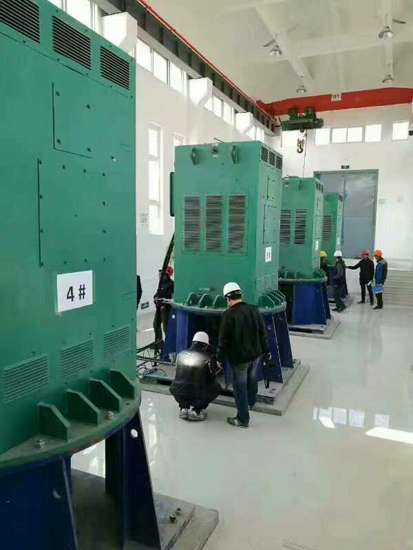 Y5002-2某污水处理厂使用我厂的立式高压电机安装现场