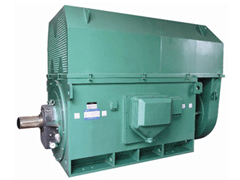Y5002-2Y系列6KV高压电机