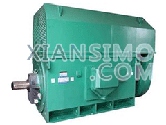 Y5002-2YXKK(2极)高效高压电机技术参数