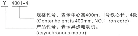 西安泰富西玛Y系列(H355-1000)高压Y5002-2三相异步电机型号说明