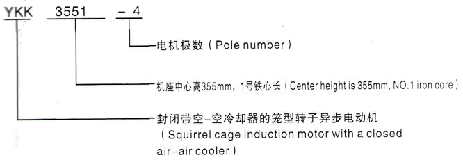 YKK系列(H355-1000)高压Y5002-2三相异步电机西安泰富西玛电机型号说明