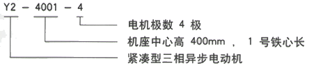 YR系列(H355-1000)高压Y5002-2三相异步电机西安西玛电机型号说明